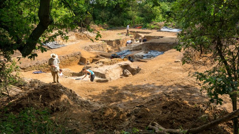 Palaeolithic Excavations at Barnham