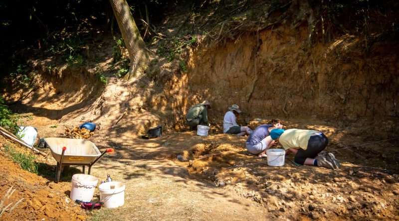 Barnham Palaeolithic Excavations