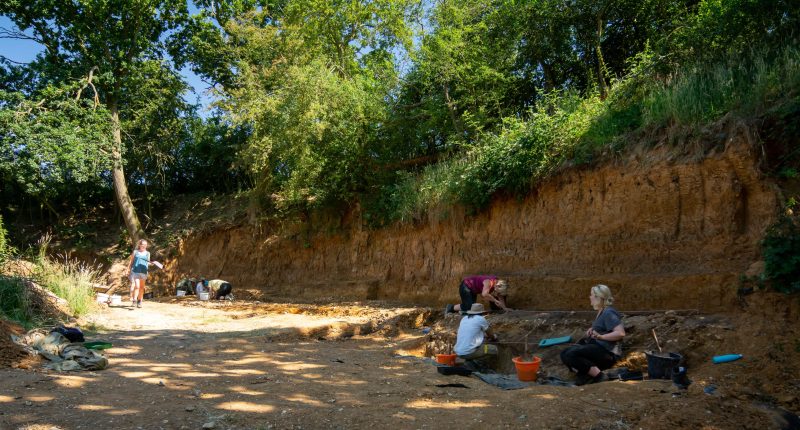 Barnham Palaeolithic Excavations