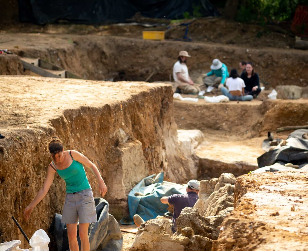 Main Excavation Area at the Barnham Palaeolithic Excavations