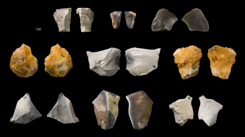 Lithics From Barnham Palaeolithic Excavations