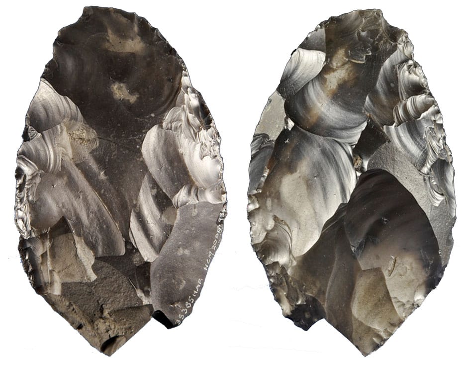 Palaeolithic handaxe from Happisburgh.