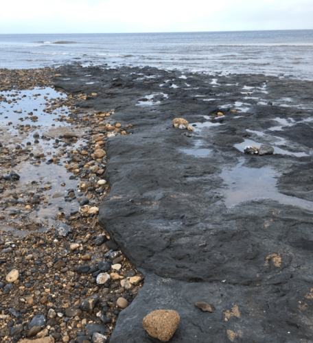 Photograph showing sediments at Site 1.